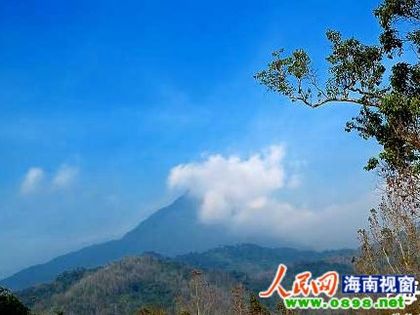 海南拟整合四大热带雨林 打造国家级森林旅游圈